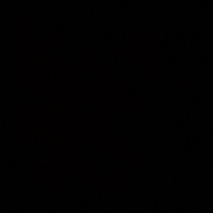 Meet your Posher, Ashlee